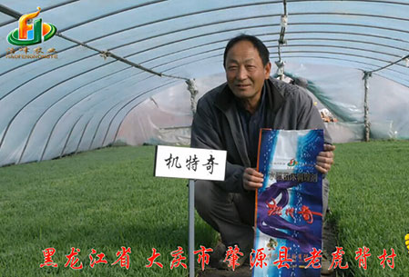 大慶-肇源縣-用戶迴訪視頻(pin)