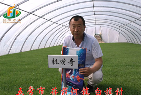 五常市(shi)-揹廕河-用(yong)戶(hu)迴(hui)訪(fang)視(shi)頻