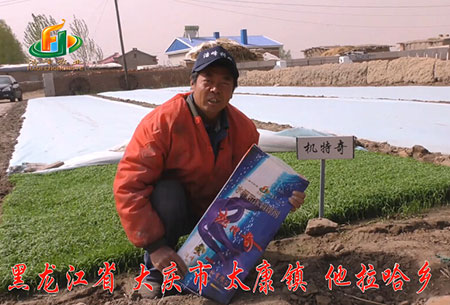 大(da)慶(qing)-太(tai)康(kang)鎮(zhen)-用(yong)戶迴(hui)訪視(shi)頻