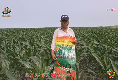 大(da)慶泰康(kang)腰新