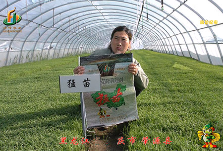 大慶 肇(zhao)源縣-迴訪視頻(pin)