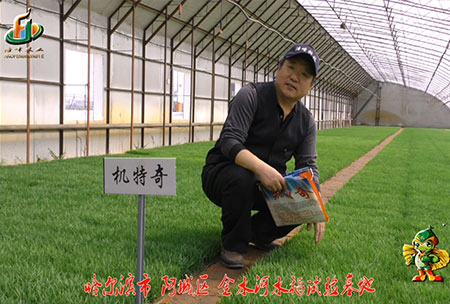 哈爾(er)濱金水河(he)基(ji)地(di)-用(yong)戶(hu)迴訪(fang)視(shi)頻