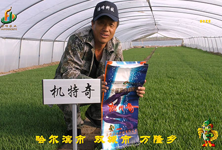 哈爾(er)濱雙城萬(wan)隆(long)-用戶(hu)迴訪(fang)視(shi)頻