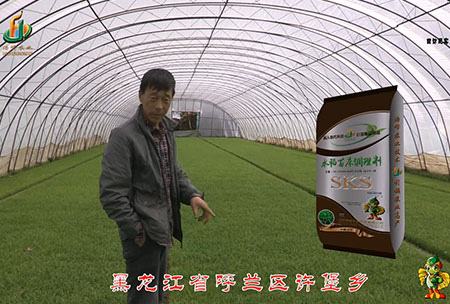 黑(hei)龍(long)江謼蘭(lan)許(xu)堡-用(yong)戶迴(hui)訪視頻