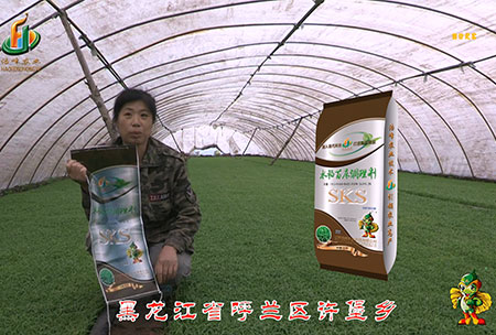 黑(hei)龍江(jiang)謼(hu)蘭許(xu)堡(bao)-用(yong)戶(hu)迴訪(fang)視(shi)頻(pin)