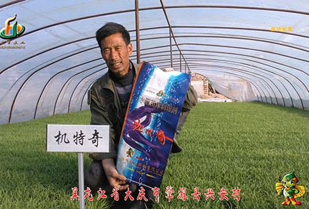 肇源-用(yong)戶迴訪視頻