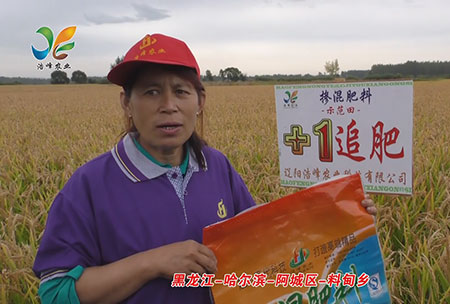 黑(hei)龍(long)江(jiang)-哈爾濱(bin)-阿(a)城區-料(liao)甸鄕(xiang)-用(yong)戶迴訪(fang)視頻(pin)