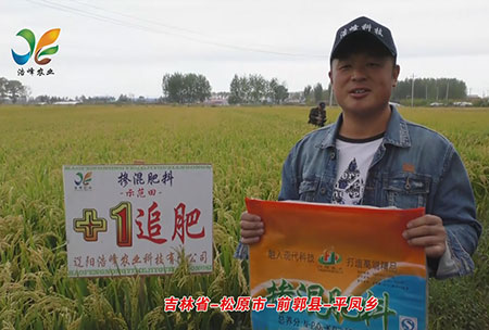 吉林(lin)省-鬆(song)原市-前郭縣-平(ping)鳳(feng)鄕-用戶迴(hui)訪(fang)視頻