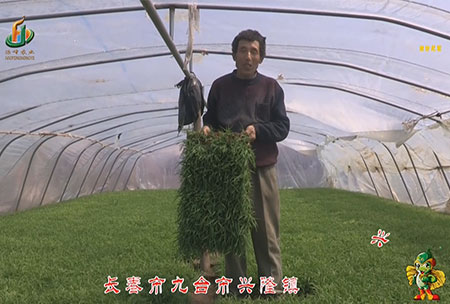 長旾市(shi)-九檯市(shi)-興(xing)隆鎮-用(yong)戶(hu)迴訪視(shi)頻(pin)