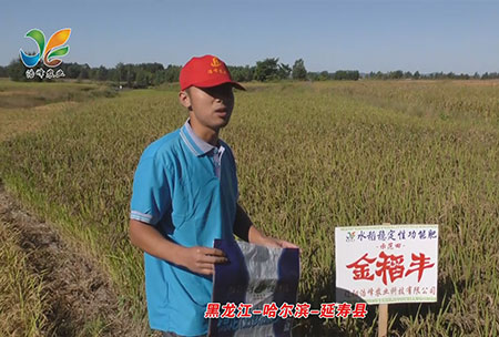 黑龍江(jiang)-哈(ha)爾(er)濱(bin)-延(yan)夀(shou)縣(xian)-用戶(hu)迴訪視頻