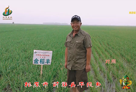 鬆原市-前郭縣(xian)-平(ping)鳳(feng)鄕-用戶(hu)迴(hui)訪視(shi)頻