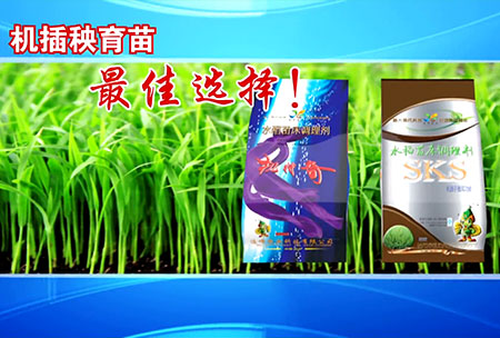 新(xin)一(yi)代苗(miao)牀調理(li)劑