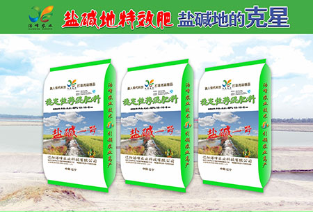 鹽堿(jian)地(di)專用(yong)功能(neng)肥