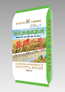 鹽(yan)堿(jian)二號（水稻(dao)）