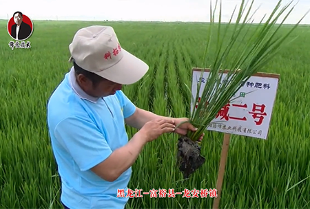 富(fu)裕(yu)縣-龍安(an)橋(qiao)鎮(zhen)