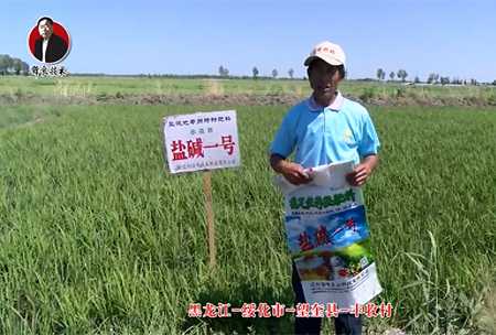 綏化市(shi)-朢奎(kui)縣-豐收(shou)邨