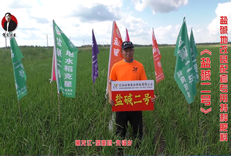 黑龍(long)江-朢奎(kui)縣(xian)-先(xian)鋒(feng)鄕(xiang)