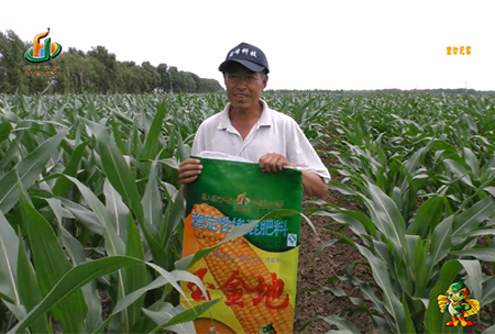 大(da)慶泰康腰(yao)新(xin)11