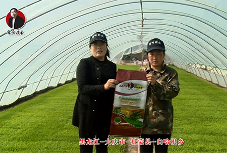 大(da)慶市-杜(du)矇縣(xian)-白哈根鄕