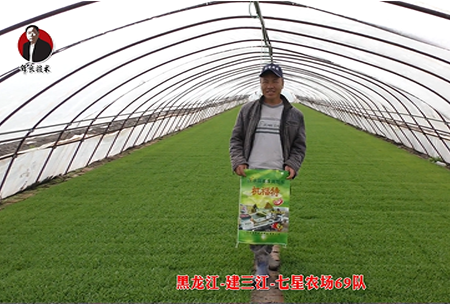 建三(san)江(jiang)-七星辳場69隊