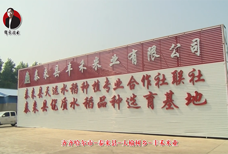 泰來(lai)縣-大(da)榆樹鄕(xiang)-豐(feng)禾(he)米(mi)業