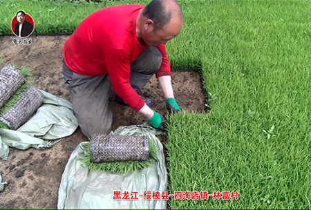 綏(sui)稜(leng)-四(si)海店鎮(zhen)