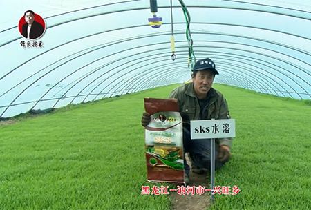 黑龍江(jiang) 訥河(he)市 興旺鄕(xiang)