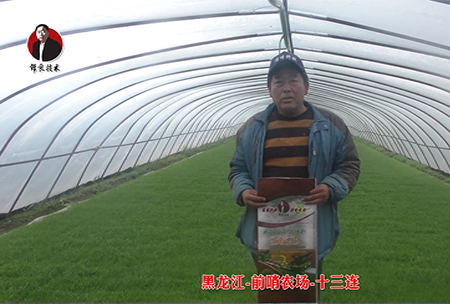 黑龍江(jiang)-前哨(shao)辳場(chang)-十(shi)三(san)連
