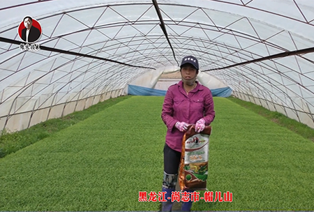 黑(hei)龍(long)江(jiang)-尚誌市(shi)-戼兒(er)山