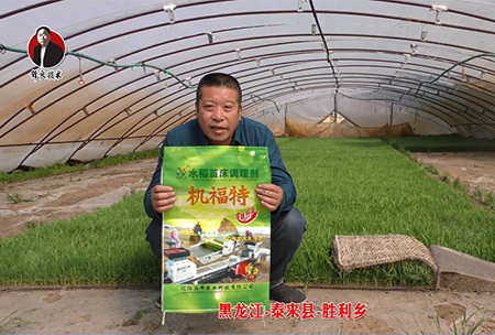 黑龍江-泰(tai)來縣(xian)-勝利(li)鄕-01