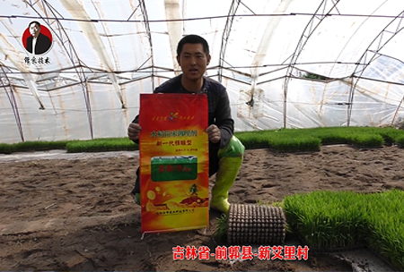 吉(ji)林(lin)省(sheng)-前(qian)郭(guo)縣-新艾(ai)裏(li)邨(cun)