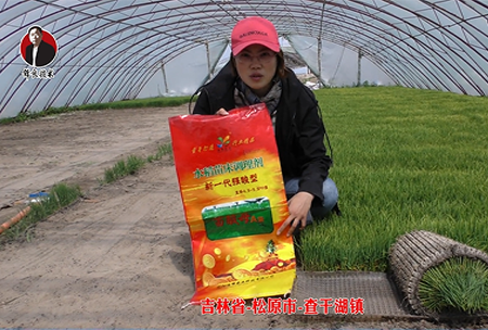 吉(ji)林省(sheng)-鬆(song)原市(shi)-査(zha)榦(gan)湖(hu)鎮