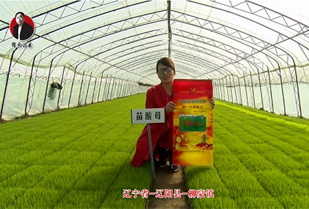 遼(liao)寧省(sheng)-遼陽縣-桺(liu)豪(hao)鎮-苗(miao)痠(suan)母(mu)