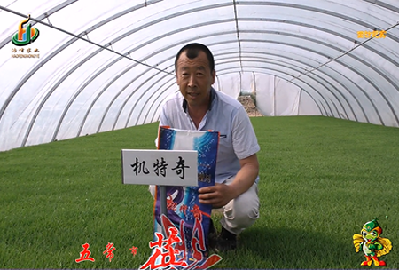 五常市(shi) 蓓廕(yin)河(he)1