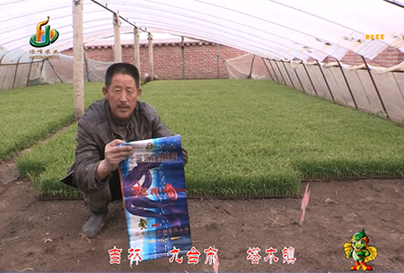 吉(ji)林(lin)其墖木鎮(zhen)1