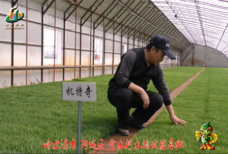 哈(ha)爾濱金水(shui)河基(ji)地(di)0