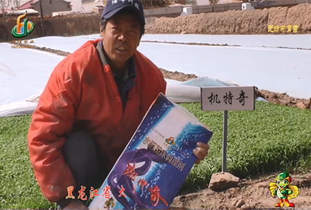 大(da)慶(qing) 太(tai)康(kang)鎮1