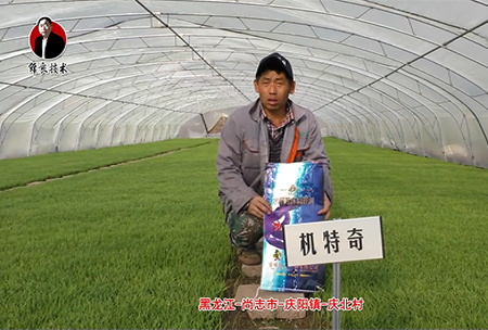 尚(shang)誌市-慶(qing)陽(yang)鎮-慶北(bei)邨