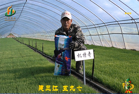 建三江(jiang)597三(san)隊