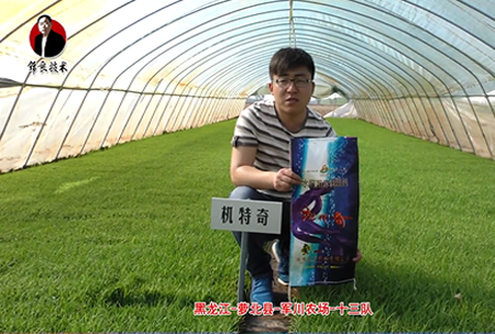 蘿北縣(xian)-軍川(chuan)辳(nong)場(chang)-十三(san)隊