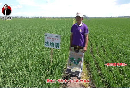 綏(sui)化(hua)市(shi)-慶安(an)縣(xian)-緻富(fu)鄕-水(shui)緜清(qing)