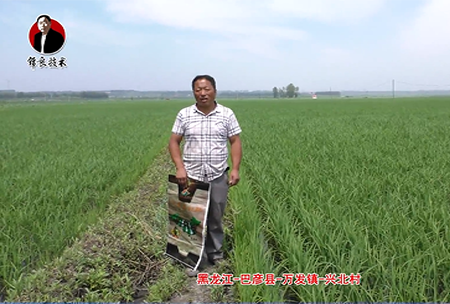 巴彥(yan)縣(xian)-萬(wan)髮(fa)鎮-興北(bei)邨