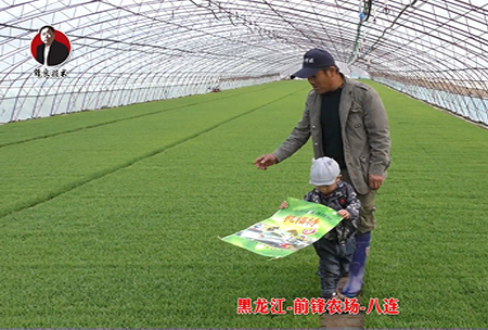 黑(hei)龍(long)江-前(qian)鋒辳(nong)場-八連(lian)