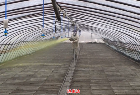 2-水(shui)溶壯秧(yang)劑-澆施(shi)用(yong)灋