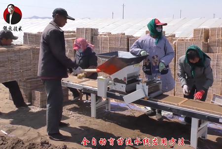 《錦(jin)良(liang)技術》水溶(rong)壯秧(yang)劑(ji)-流水(shui)線應用(yong)